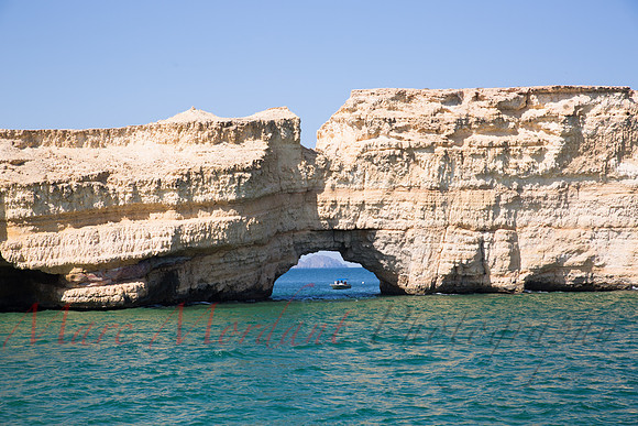 Muscat