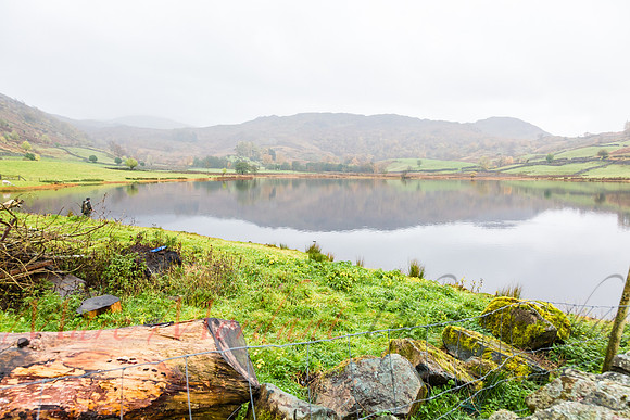 Cumbria