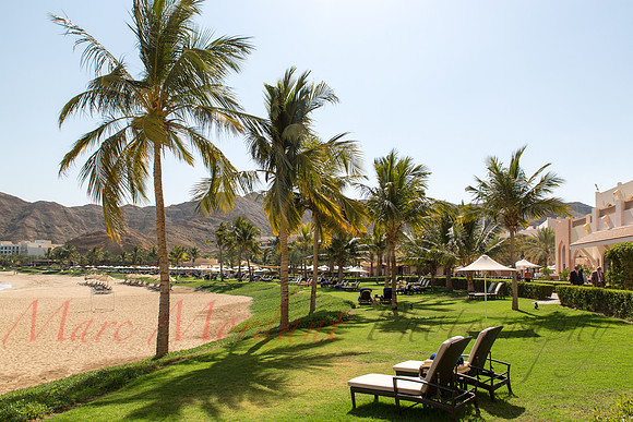 Muscat