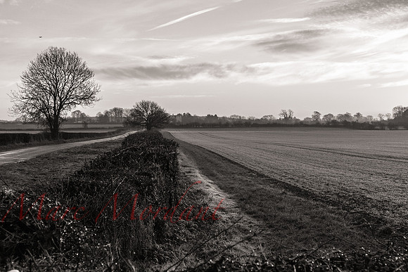 Gloucestershire