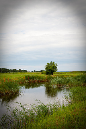 Haapsalu
