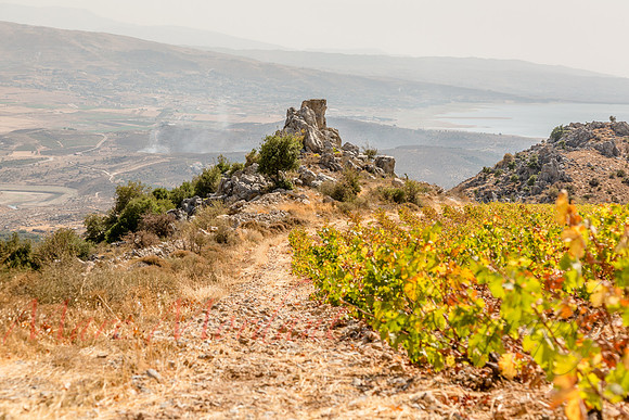 Château Qanafar