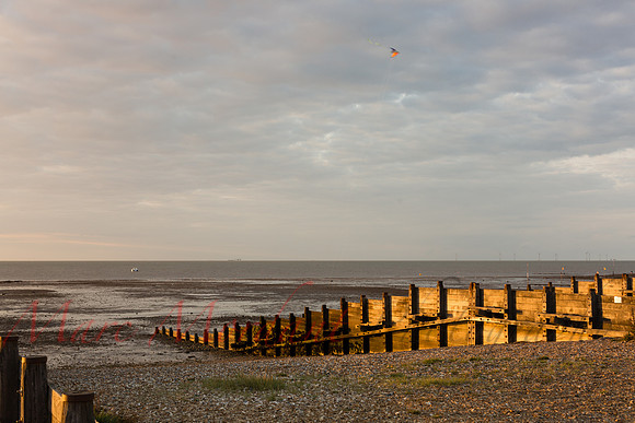 Whitstable