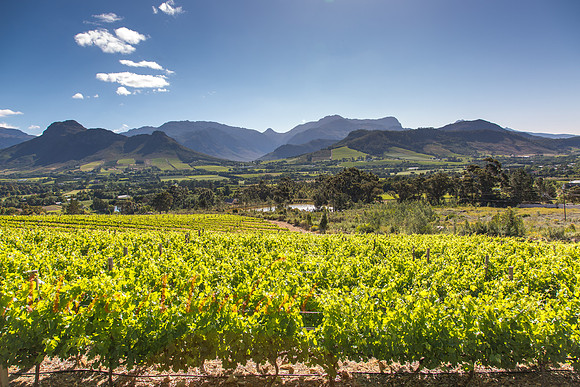 Franschhoek