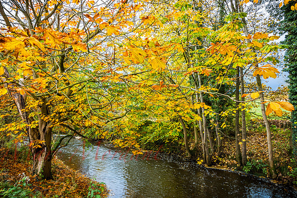 Cumbria