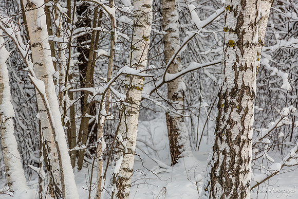 27Feb20-054