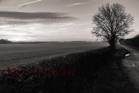 Gloucestershire