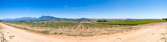Paarl