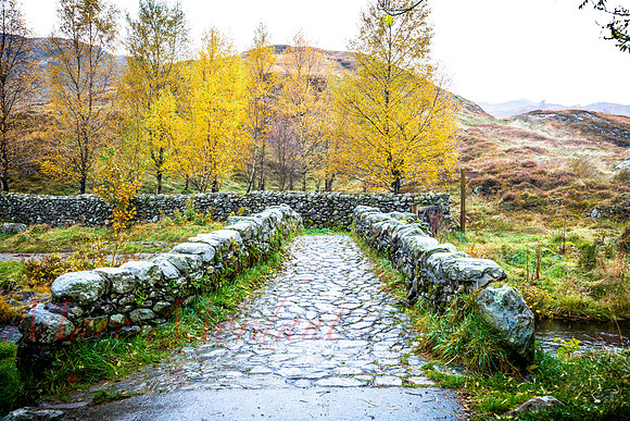 Cumbria