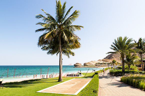 Muscat