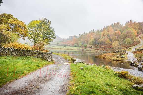 Cumbria