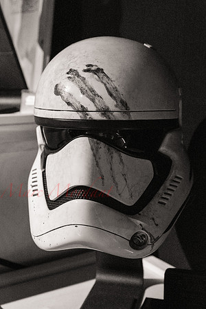 SWCE 2016