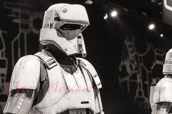 SWCE 2016