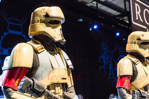 SWCE 2016