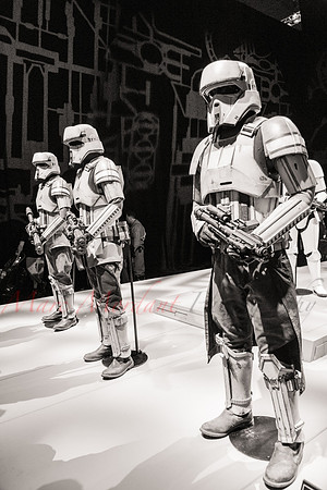 SWCE 2016