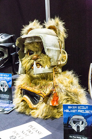 SWCE 2016