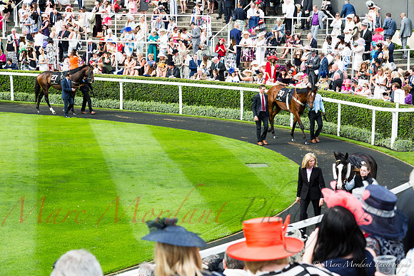 Royal Ascot 2016