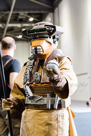 SWCE 2016