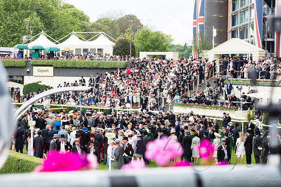 Royal Ascot 2016