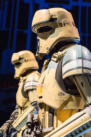 SWCE 2016