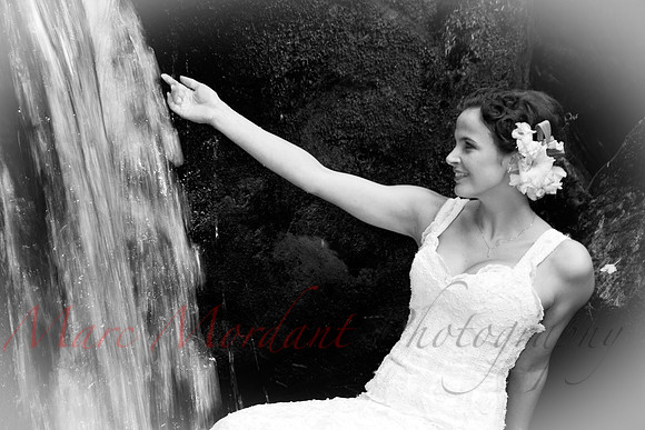 Trash the Dress