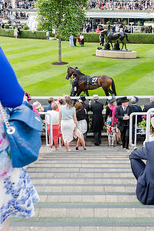Royal Ascot 2016