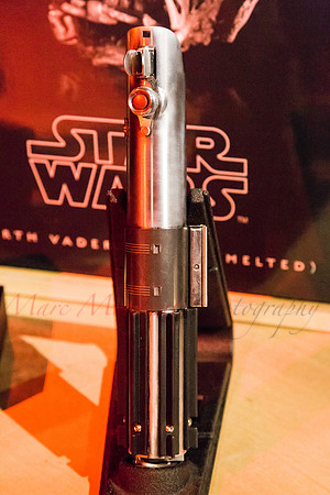 SWCE 2016