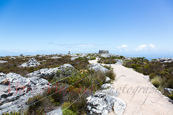 Table Mountain