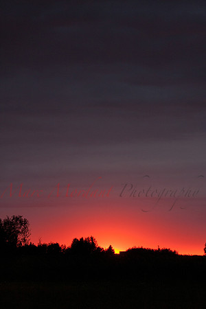 Haapsalu