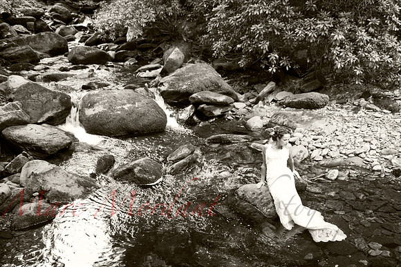 Trash the Dress
