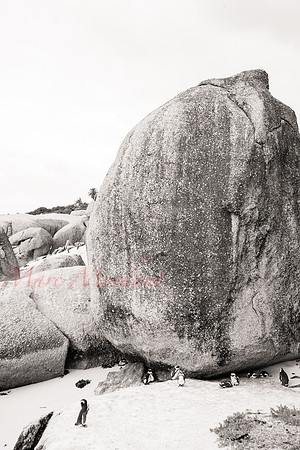 Boulders Beach