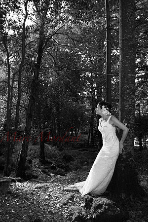 Trash the Dress