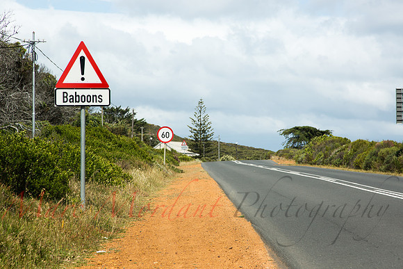 Cape Point