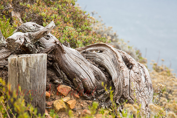 Cape Point