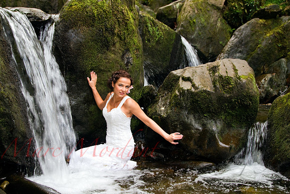 Trash the Dress