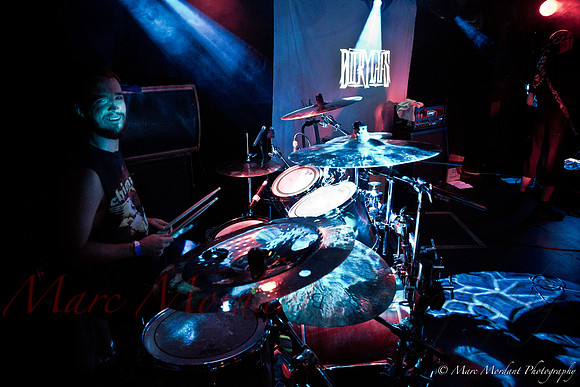 Dorylus