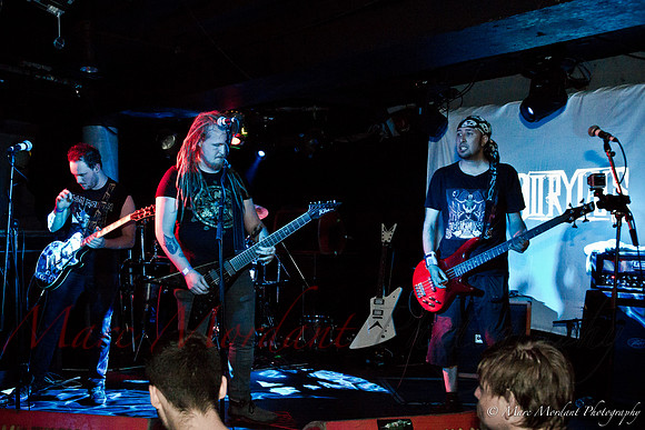 Dorylus