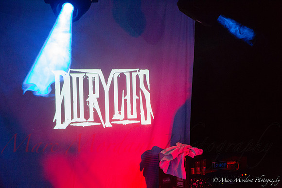 Dorylus