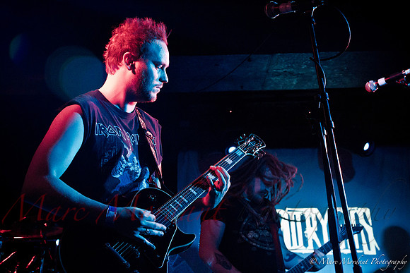Dorylus