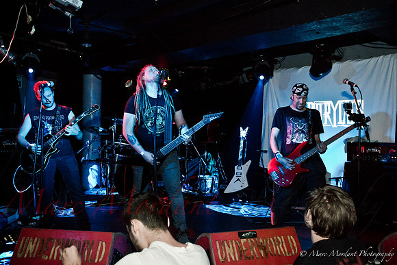 Dorylus