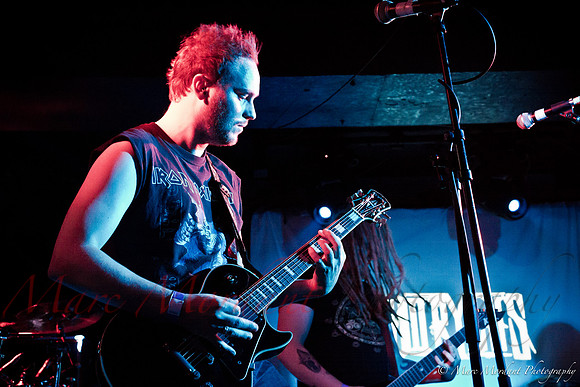 Dorylus