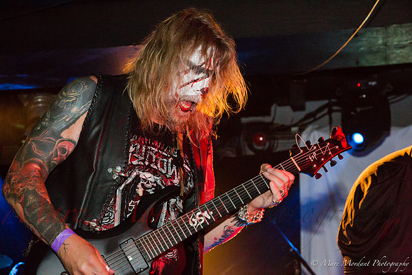 Donkerkarnuffel