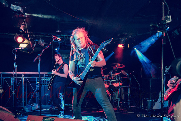 Dorylus