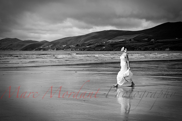Trash the Dress