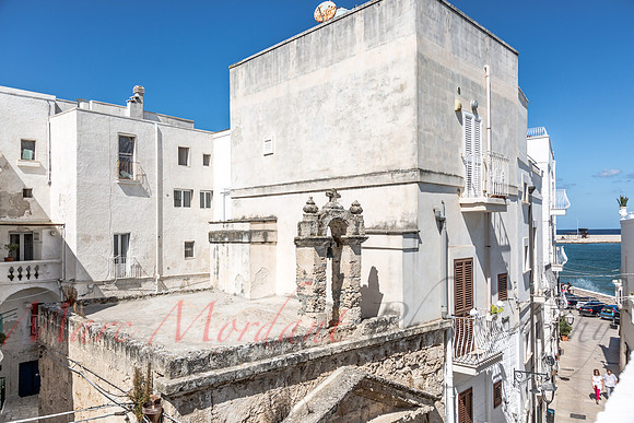Monopoli