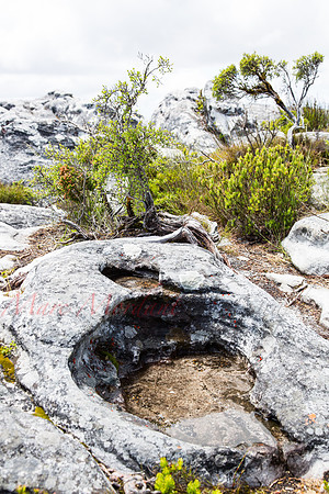 Table Mountain