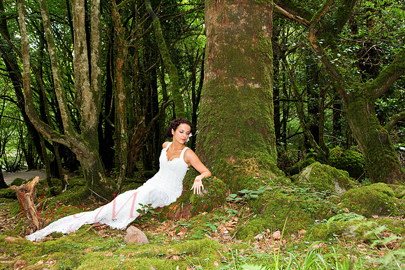Trash the Dress