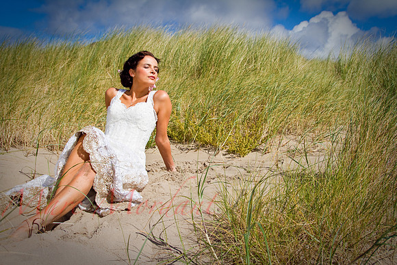 Trash the Dress