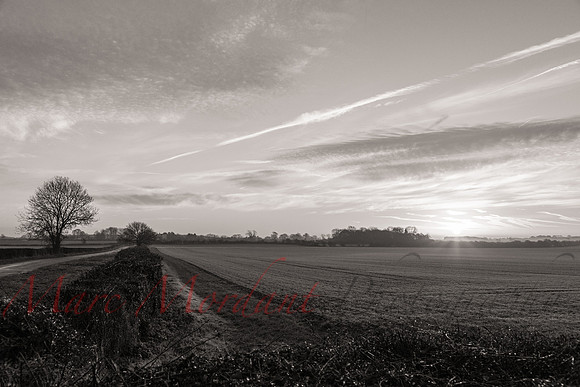 Gloucestershire