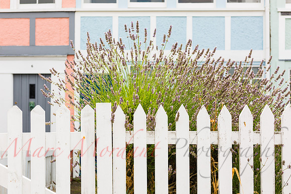 Whitstable